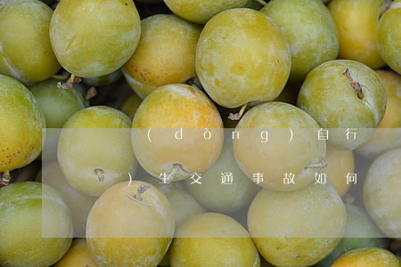 電動(dòng)自行車(chē)發(fā)生交通事故，如何進(jìn)行責(zé)任劃分？